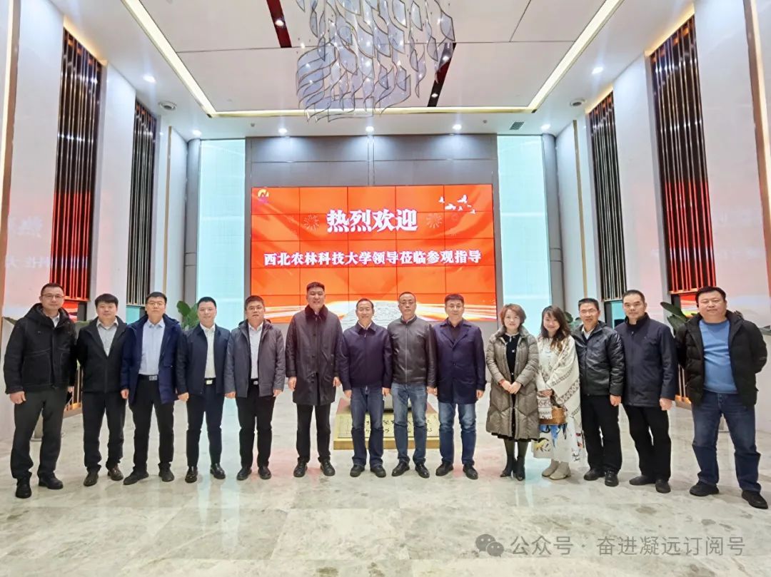 微信图片_20241211104351 微信图片_20241211104351