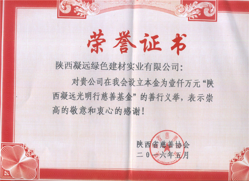 光明行慈善基金-2016.5