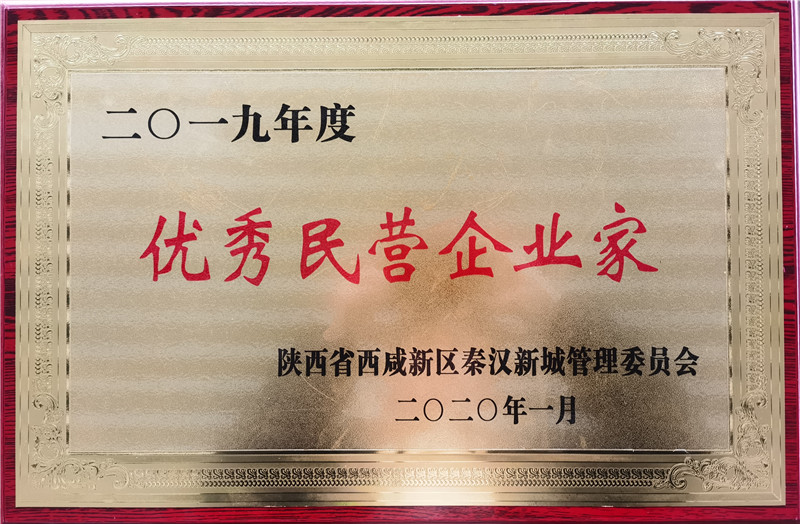 2019秦汉新城优秀民营企业家