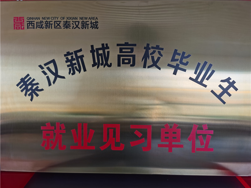 2019年秦汉新城高校毕业生就业见习单位