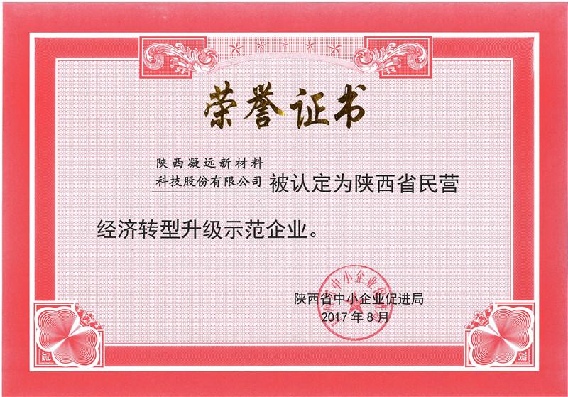 陕西省民营经济转型升级示范企业-2017