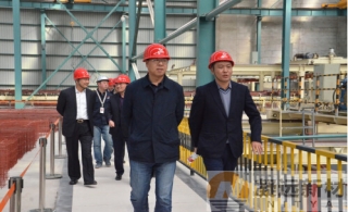 秦汉新城党工委副书记、管委会副主任许寿琨一行 考察我公司绿色产业基地