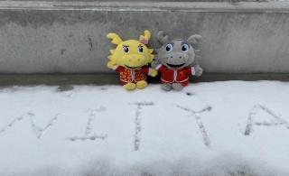 喜提初雪，leyu乐鱼登录地址最美雪景都在这里~