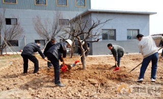 公司举办植树节活动 刘总携各部门主任悉数参加